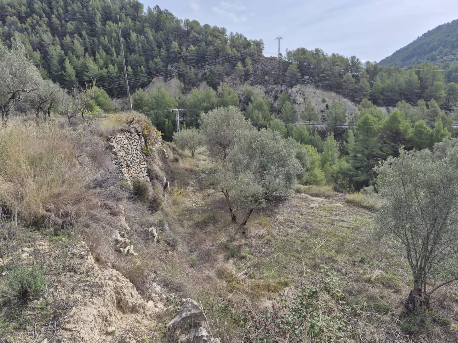 4 bedroom Finca/Country House for sale in Relleu - € 265,000 (Ref: 9338059)