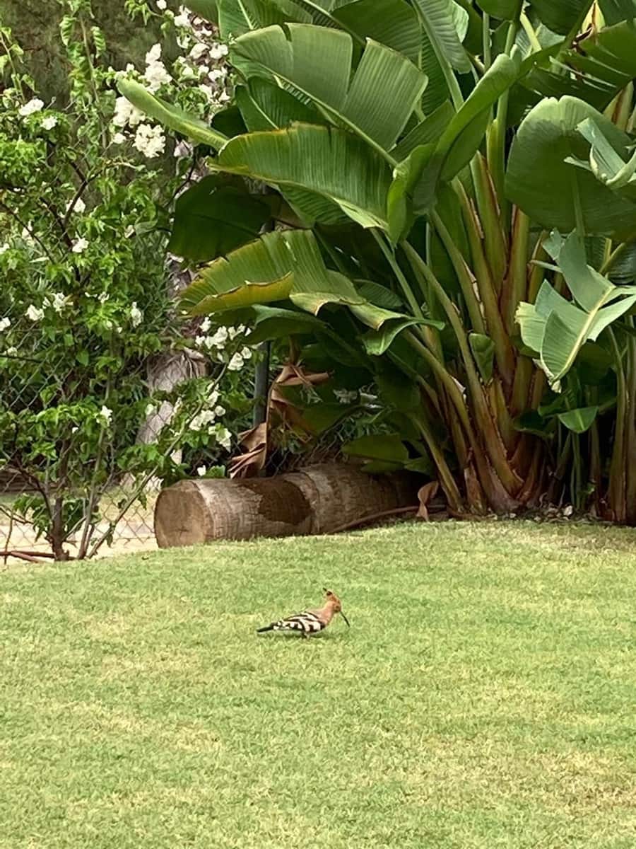 2 sypialnia Willa na sprzedaż w Benahavis z basenem garażem - 420 000 € (Ref: 9267882)