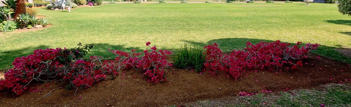 Tontti myytävänä paikassa Guadalmina - 2 000 000 € (Ref: 9650291)