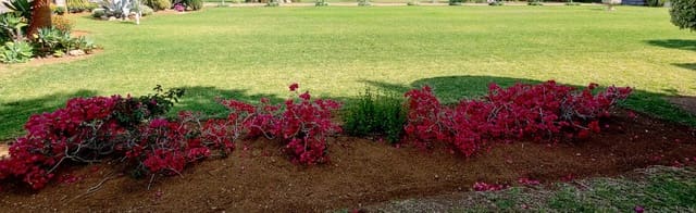 Tontti myytävänä paikassa Guadalmina, Marbella - 2 000 000 € (Ref: 9650291)