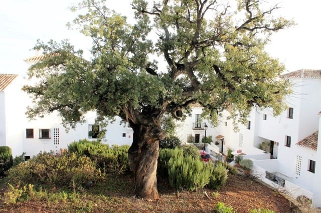 2 camera da letto Attico in vendita in Los Monteros, Marbella con piscina garage - 425.000 € (Rif: 9650293)