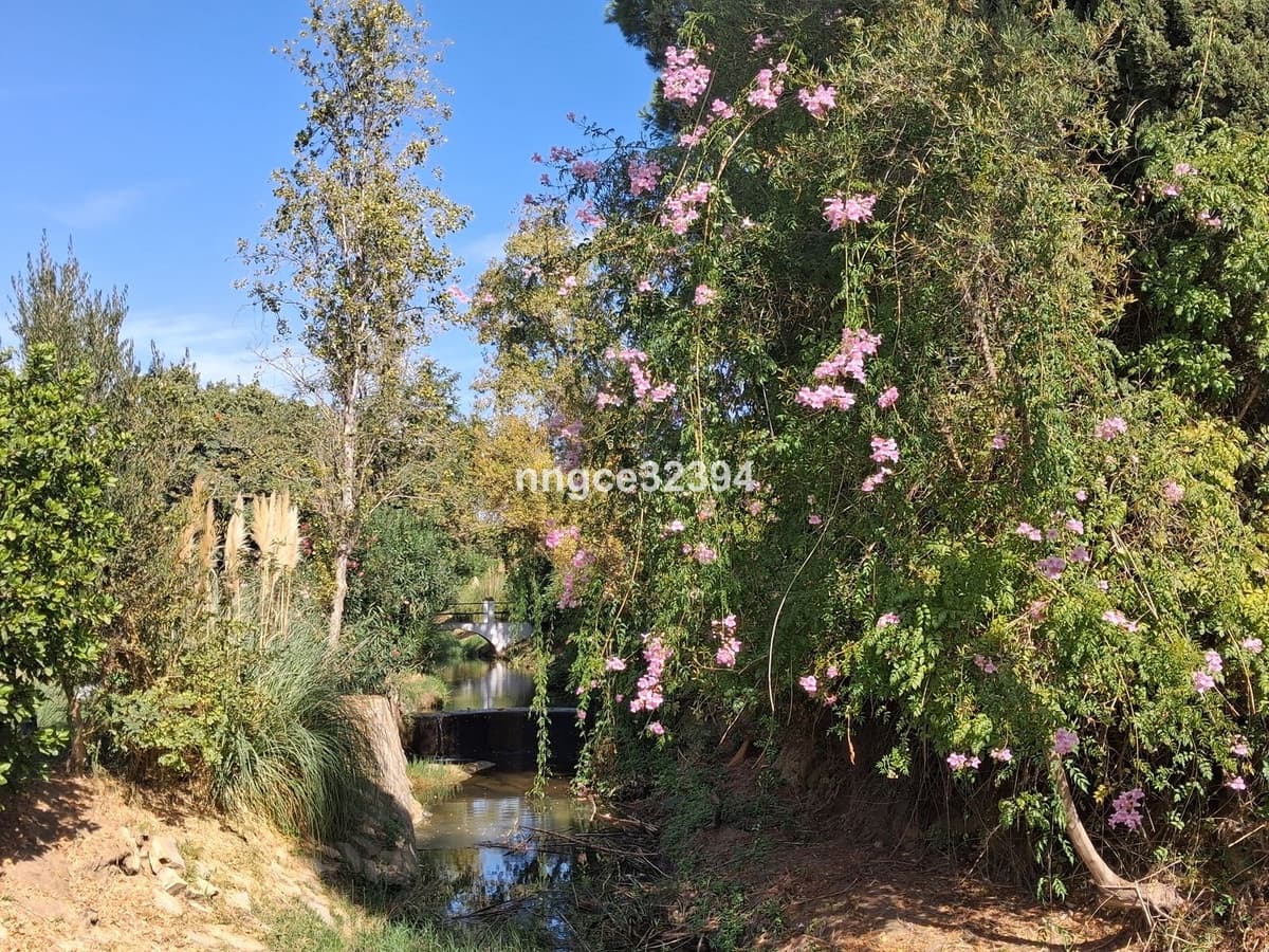 2 camera da letto Attico in vendita in New Golden Mile con piscina garage - 359.900 € (Rif: 9670169)