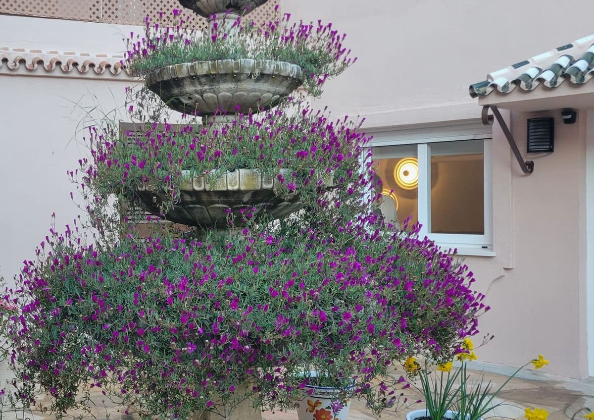 2 makuuhuone Huoneisto myytävänä paikassa Calahonda mukana uima-altaan 
autotalli - 329 000 € (Ref: 9677870)