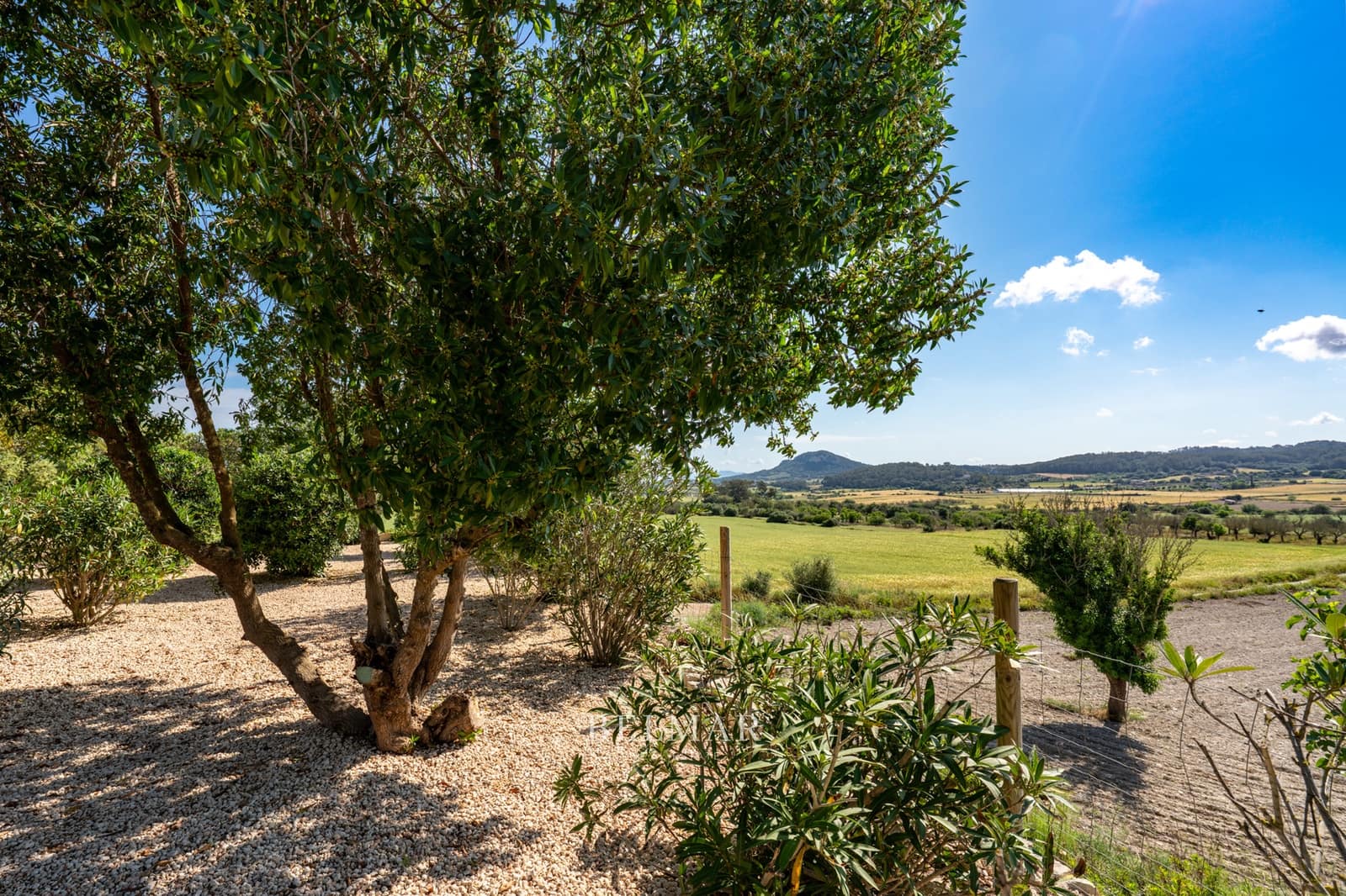 4 soveværelse Finca/Landehus til salg i Sineu med swimmingpool garage - € 1.850.000 (Ref: 8983543)