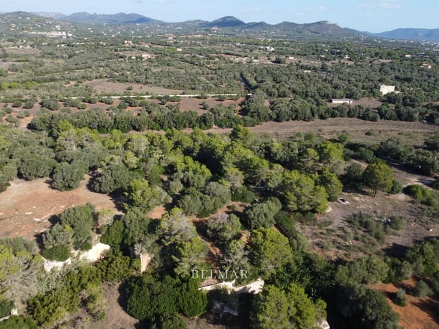 Ubebygd land til salgs i Manacor - € 269 000 (Ref: 9322743)