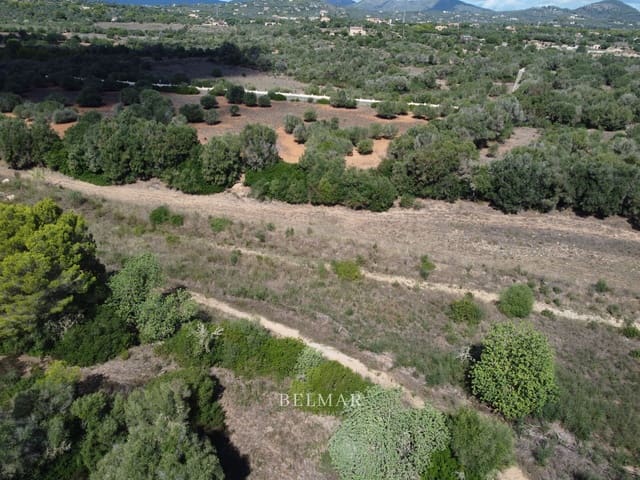Ubebygd land til salgs i Manacor - € 269 000 (Ref: 9322743)