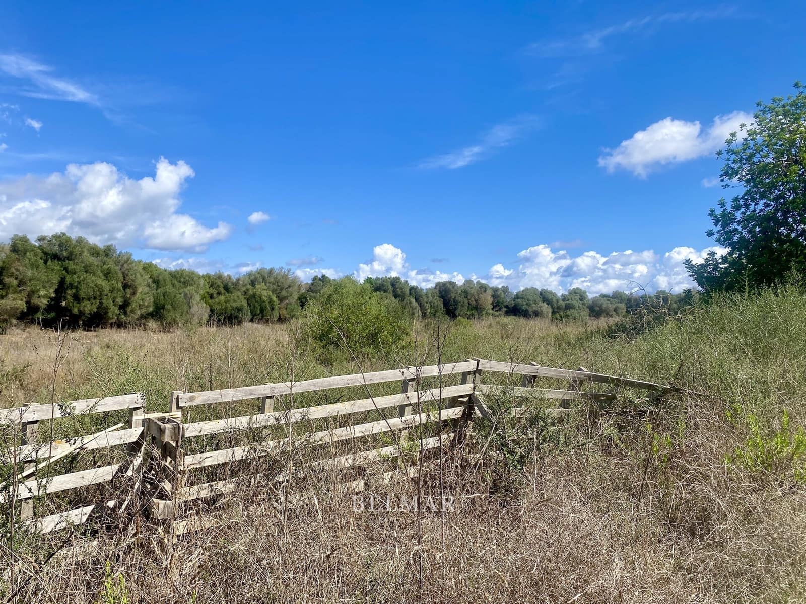 Ubebygd land til salgs i Manacor - € 269 000 (Ref: 9322743)