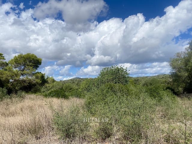 Ubebygd land til salgs i Manacor - € 269 000 (Ref: 9322743)