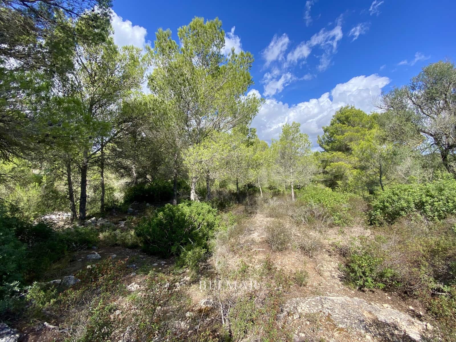 Ubebygd land til salgs i Manacor - € 269 000 (Ref: 9322743)