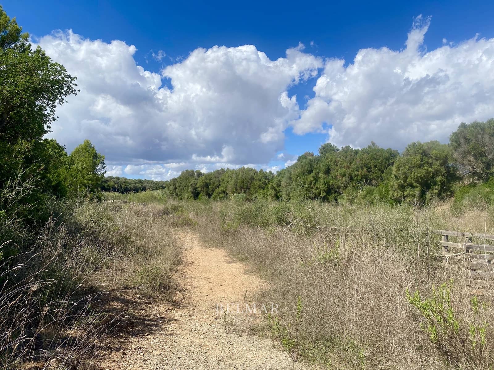 Ubebygd land til salgs i Manacor - € 269 000 (Ref: 9322743)