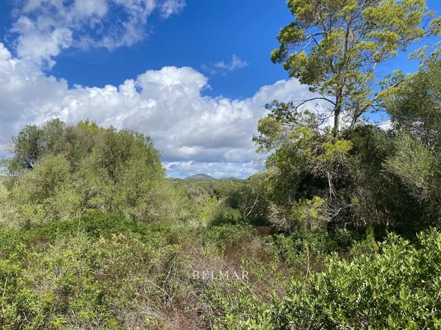 Ubebygd land til salgs i Manacor - € 269 000 (Ref: 9322743)