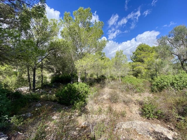 Ubebygd land til salgs i Manacor - € 269 000 (Ref: 9322743)
