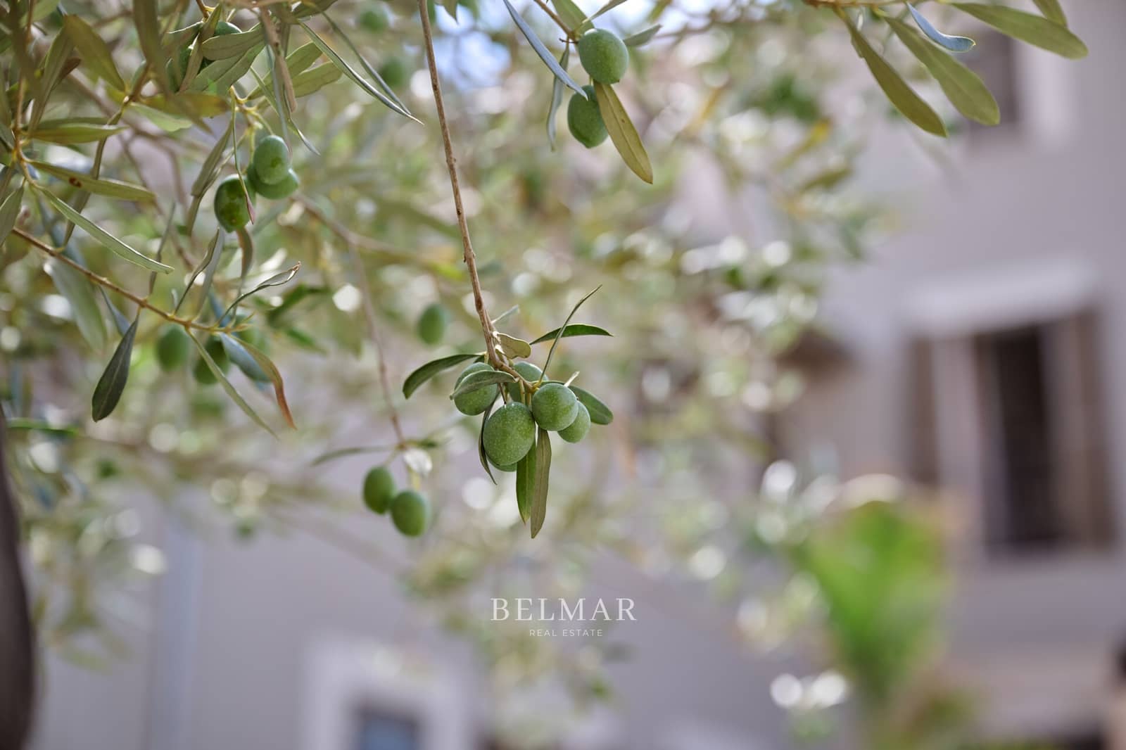 5 sovrum Hus att hyra i Son Servera med pool garage - 5 000 € (Ref: 9357912)