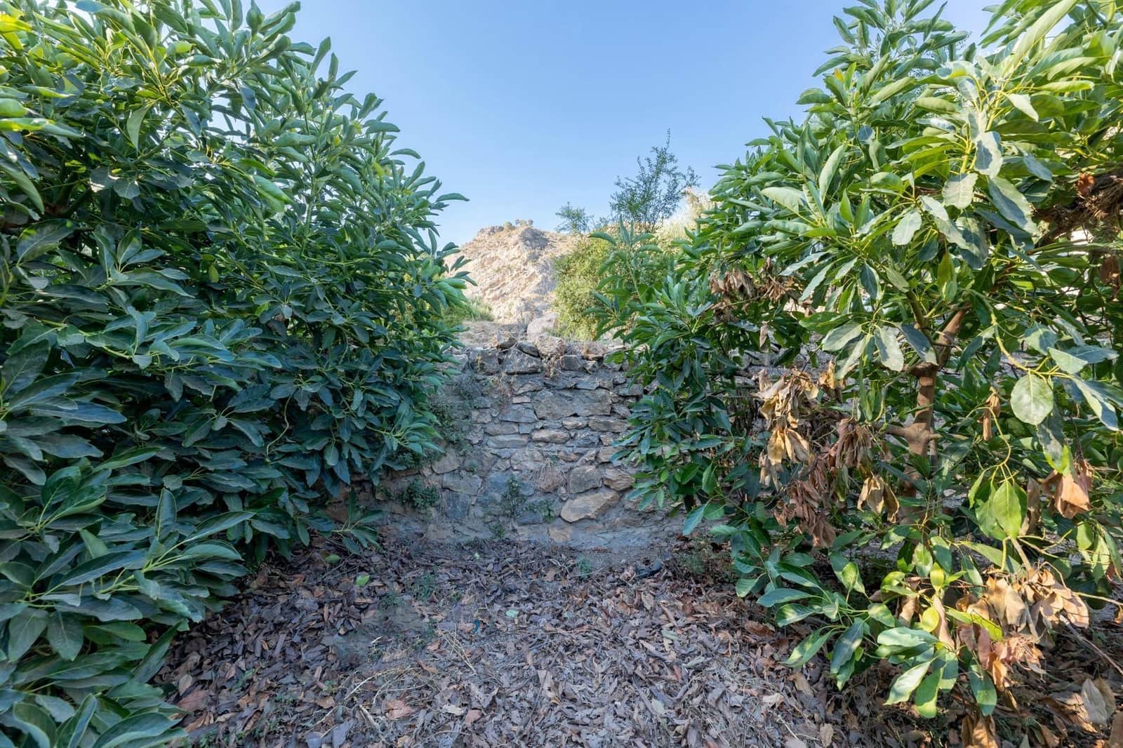 Rakentamaton maa myytävänä paikassa Velez de Benaudalla - 250 000 € (Ref: 9185646)