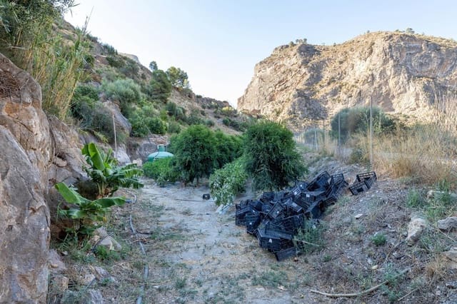 Rakentamaton maa myytävänä paikassa Vélez de Benaudalla - 250 000 € (Ref: 9185646)