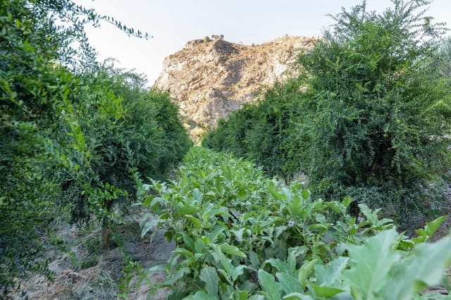 Rakentamaton maa myytävänä paikassa Vélez de Benaudalla - 250 000 € (Ref: 9185646)