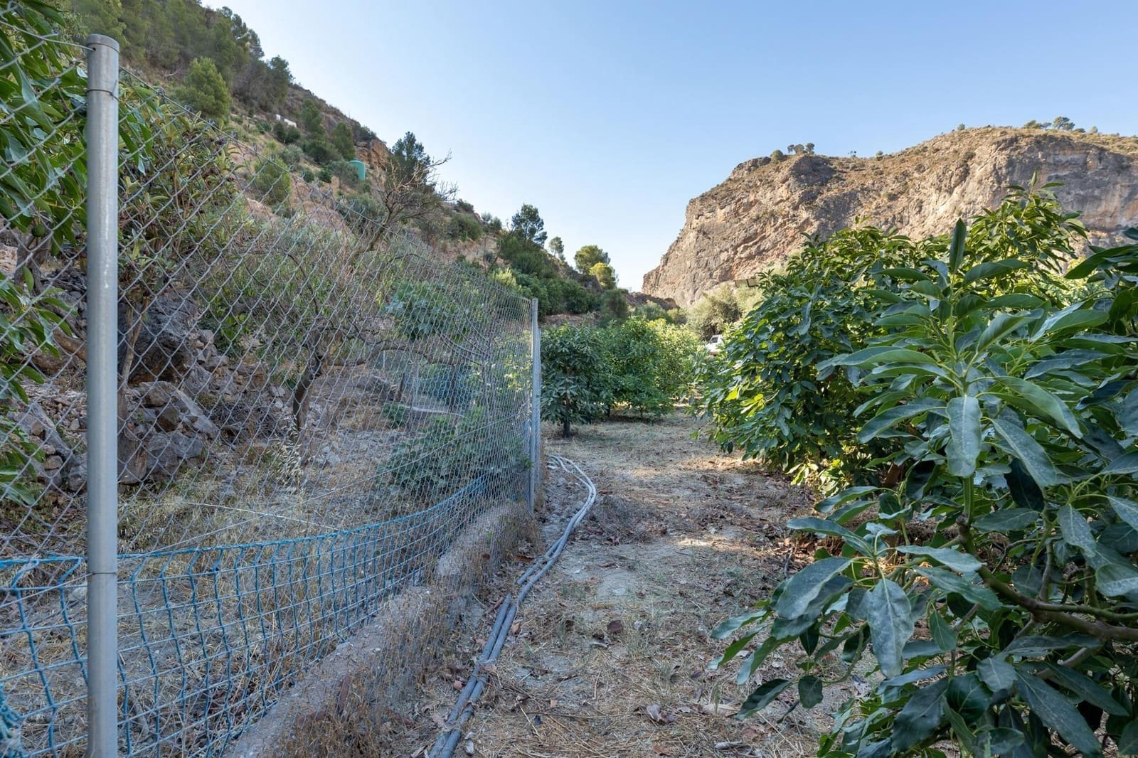 Rakentamaton maa myytävänä paikassa Velez de Benaudalla - 250 000 € (Ref: 9185646)