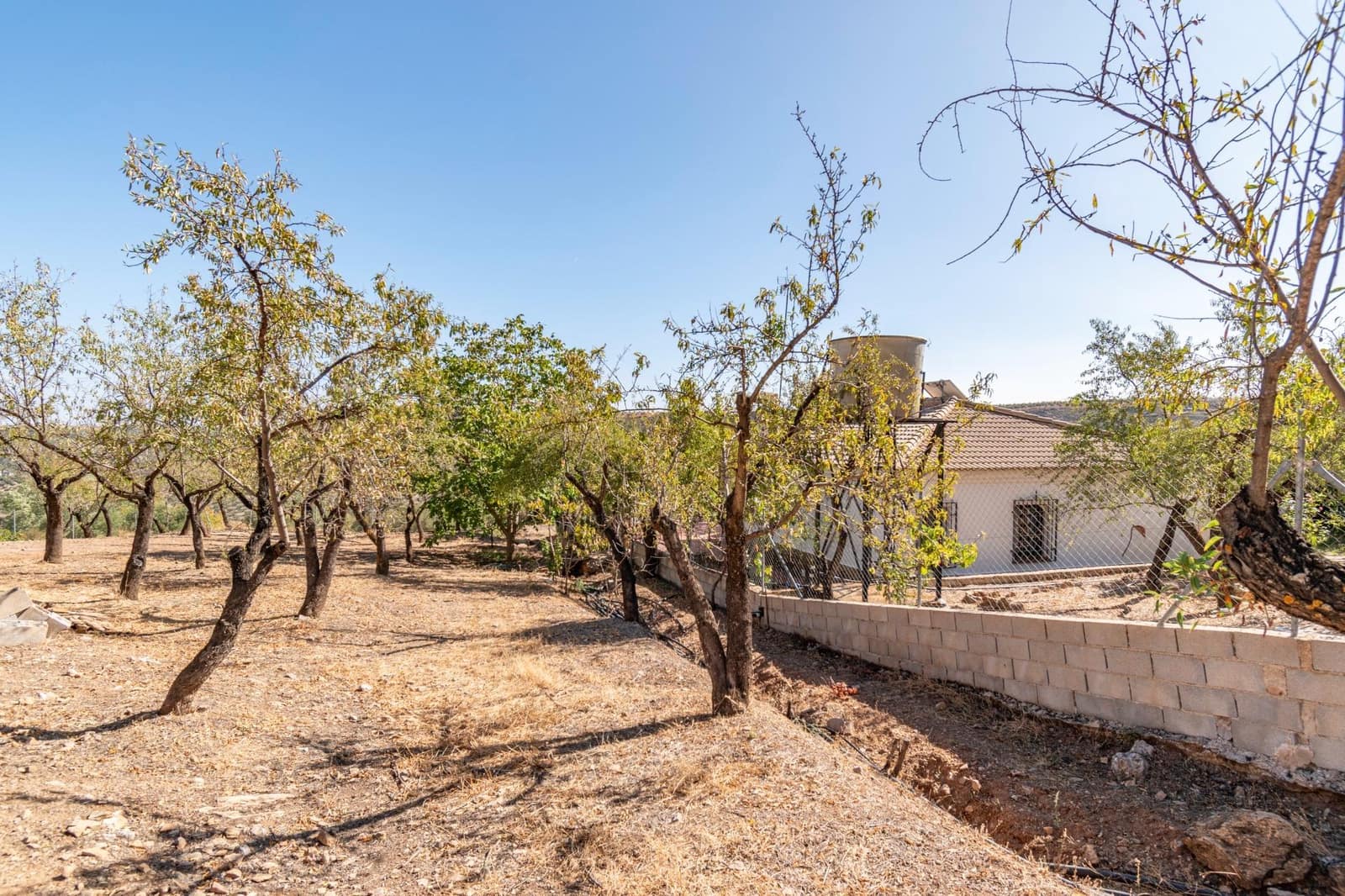 3 slaapkamer Finca/Landhuis te koop in La Peza - € 149.900 (Ref: 9353776)