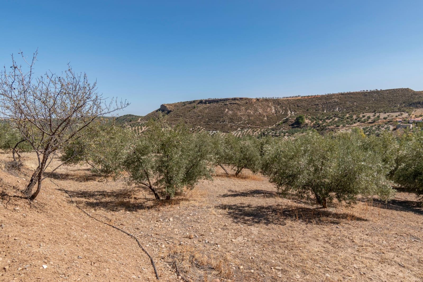 3 slaapkamer Finca/Landhuis te koop in La Peza - € 149.900 (Ref: 9353776)