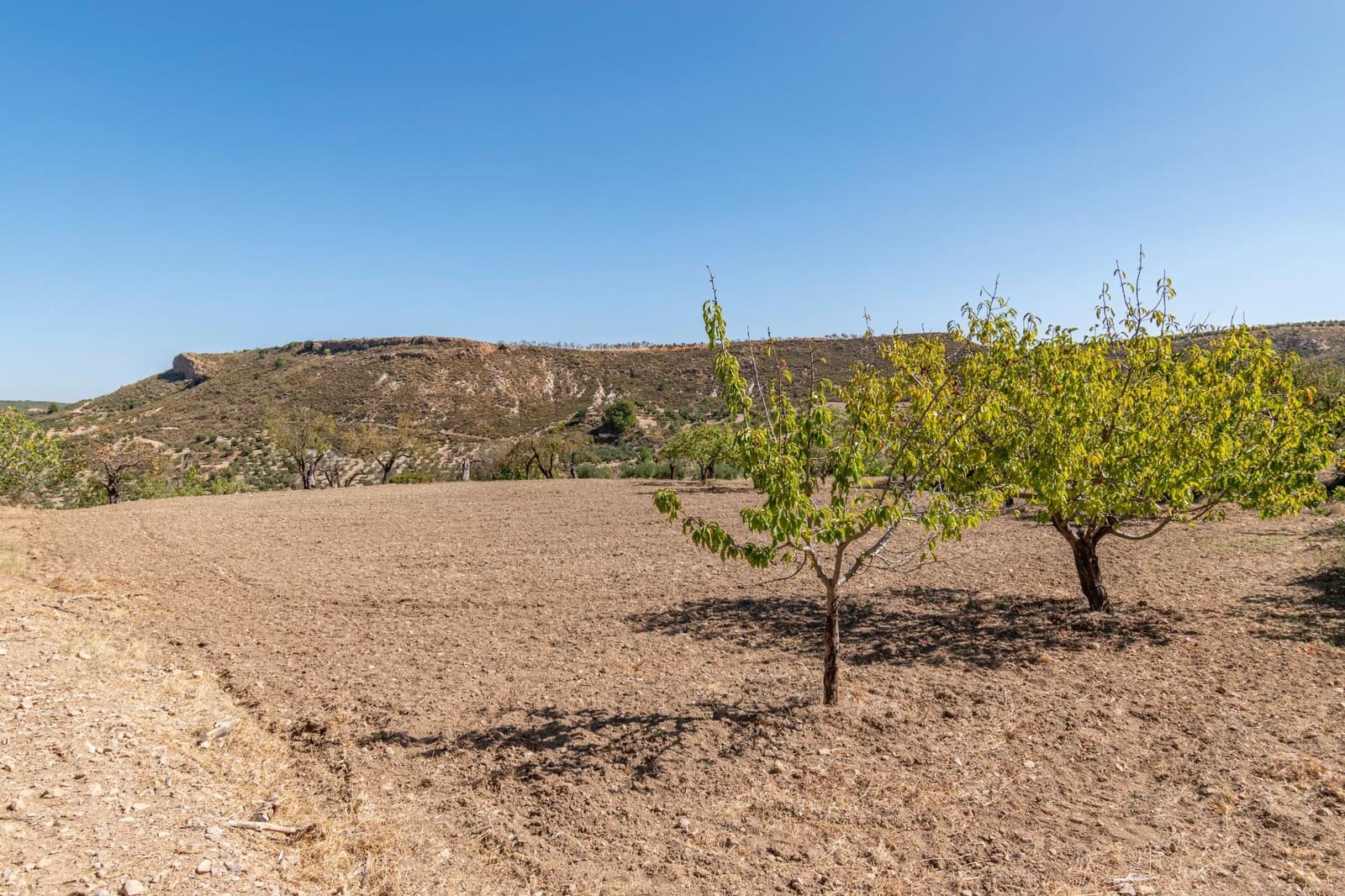 3 slaapkamer Finca/Landhuis te koop in La Peza - € 149.900 (Ref: 9353776)