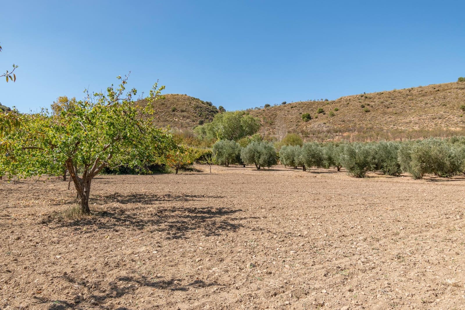 3 slaapkamer Finca/Landhuis te koop in La Peza - € 149.900 (Ref: 9353776)