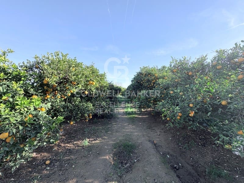 Finca/Casa Rural de 3 habitaciones en Moncada en venta con piscina - 170.000 € (Ref: 9502434)