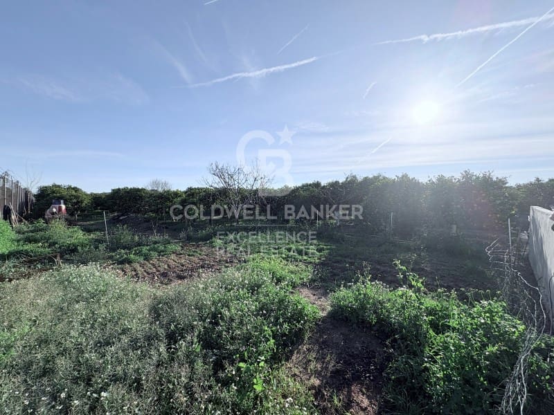 Finca/Casa Rural de 3 habitaciones en Moncada en venta con piscina - 170.000 € (Ref: 9502434)