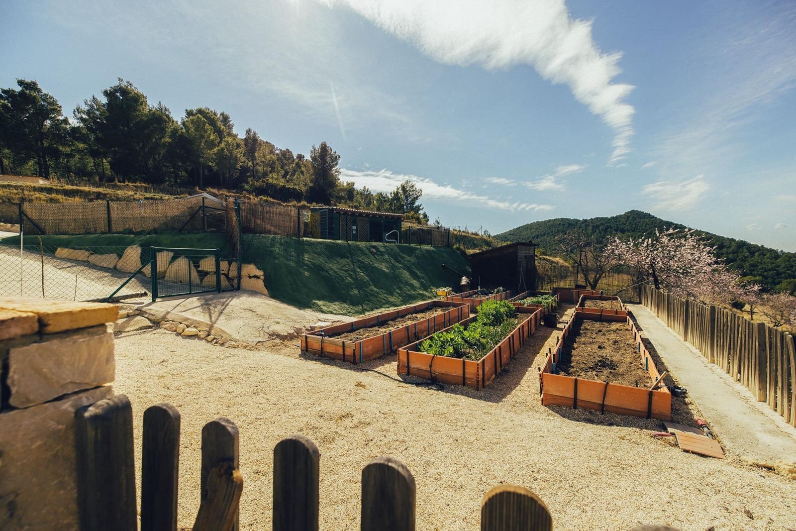 5 bedroom Finca/Country House for sale in Torremanzanas with pool garage - € 895,000 (Ref: 8691795)