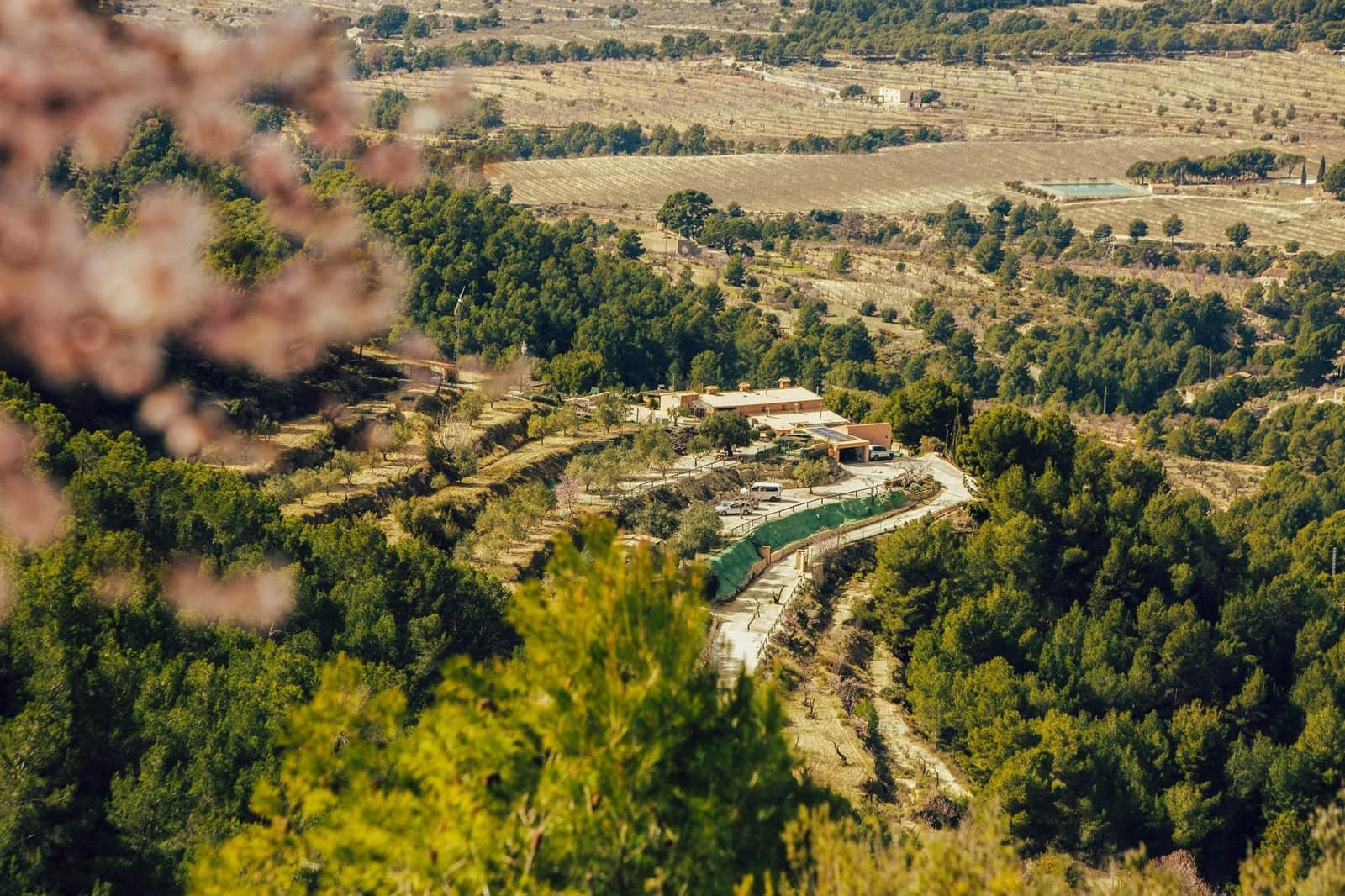 5 bedroom Finca/Country House for sale in Torremanzanas with pool garage - € 895,000 (Ref: 8691795)