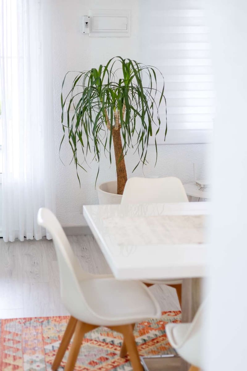 3 bedroom Villa for sale in Orihuela with pool garage - € 449,000 (Ref: 9141504)