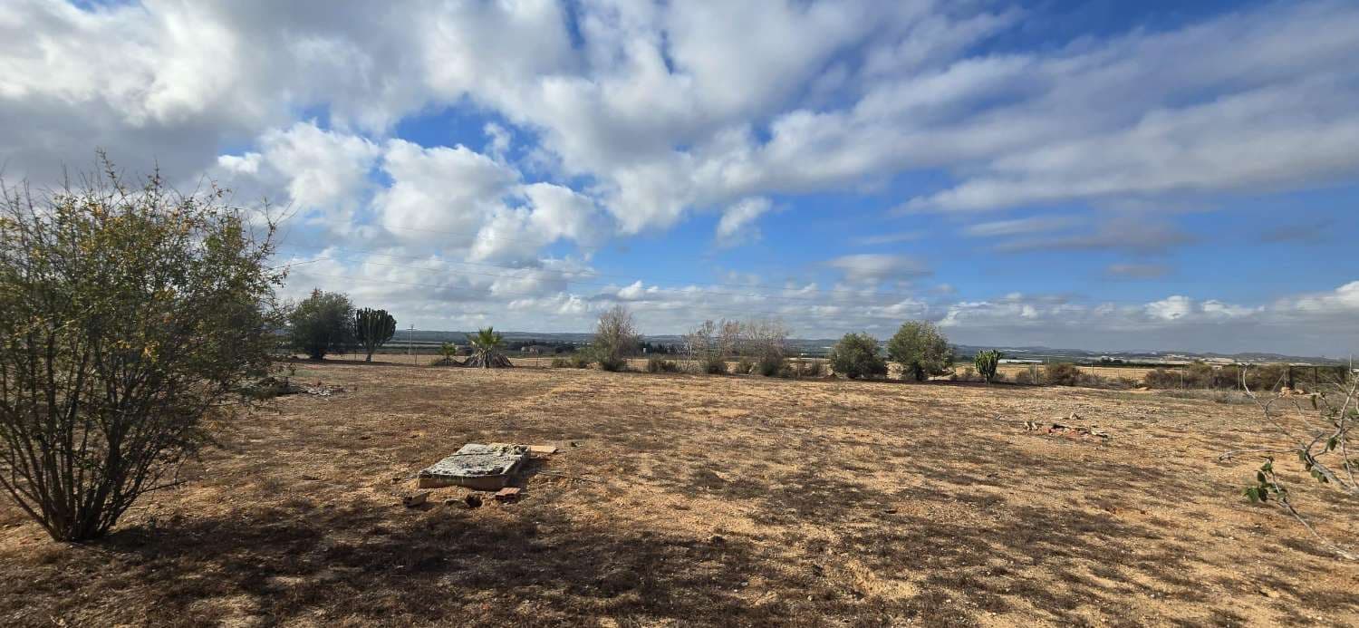 2 sovrum Finca/Hus på landet till salu i Los Montesinos - 159 000 € (Ref: 9303285)