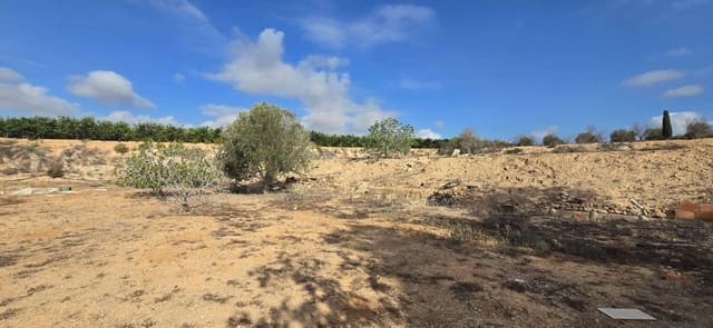 2 sovrum Finca/Hus på landet till salu i Los Montesinos - 159 000 € (Ref: 9303285)