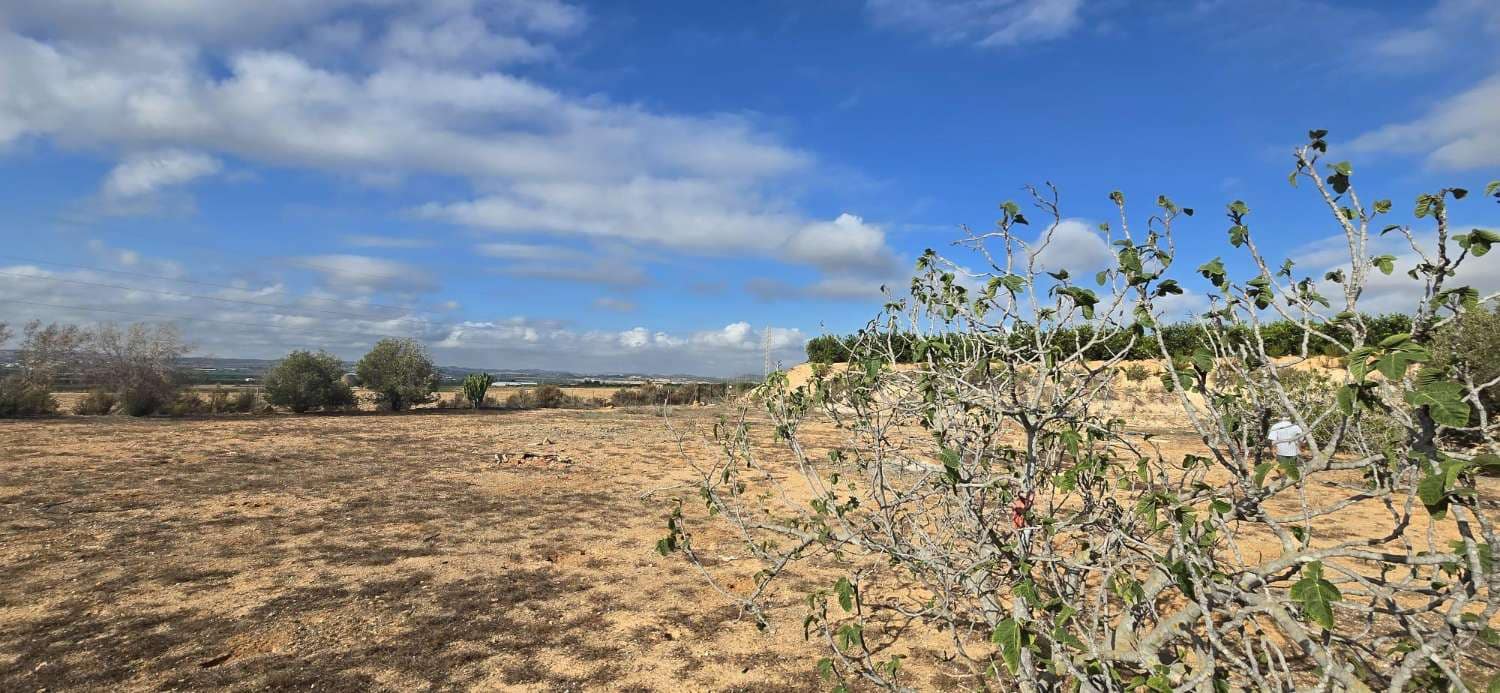 2 sovrum Finca/Hus på landet till salu i Los Montesinos - 159 000 € (Ref: 9303285)