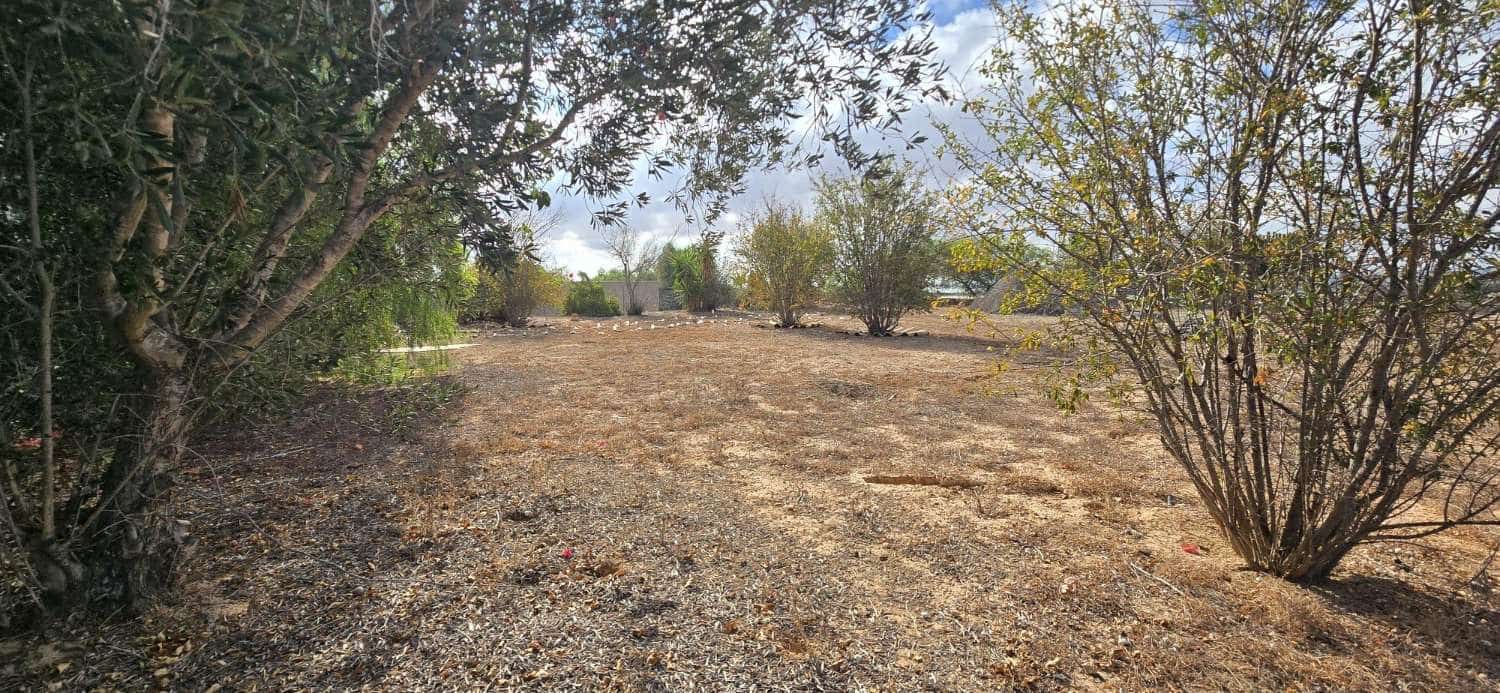 2 sovrum Finca/Hus på landet till salu i Los Montesinos - 159 000 € (Ref: 9303285)