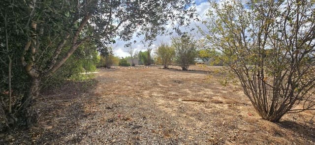 2 sovrum Finca/Hus på landet till salu i Los Montesinos - 159 000 € (Ref: 9303285)