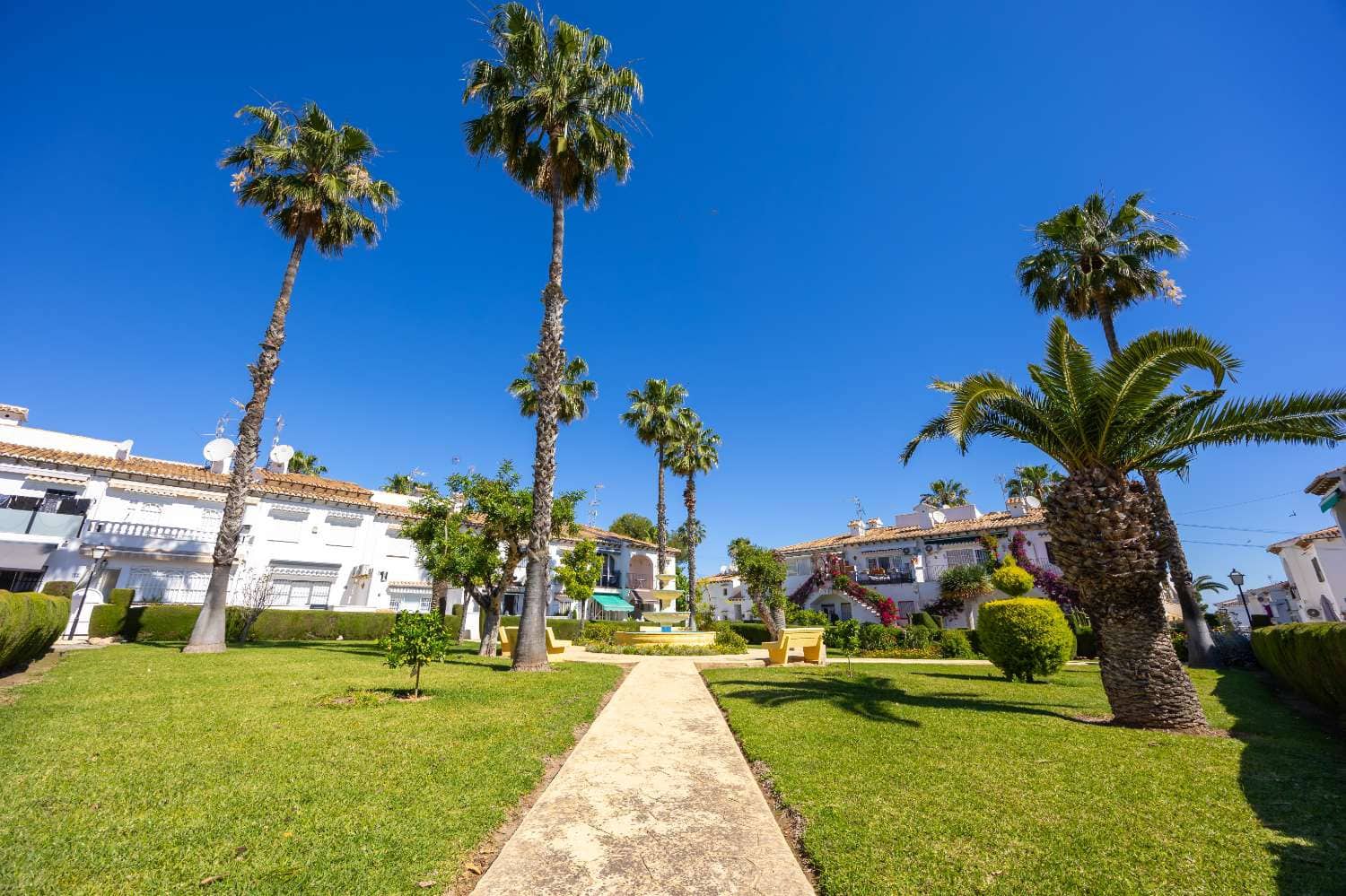 1 sovrum Lägenhet för semesterbostäder i Torrevieja med pool garage - 693 € (Ref: 9866672)
