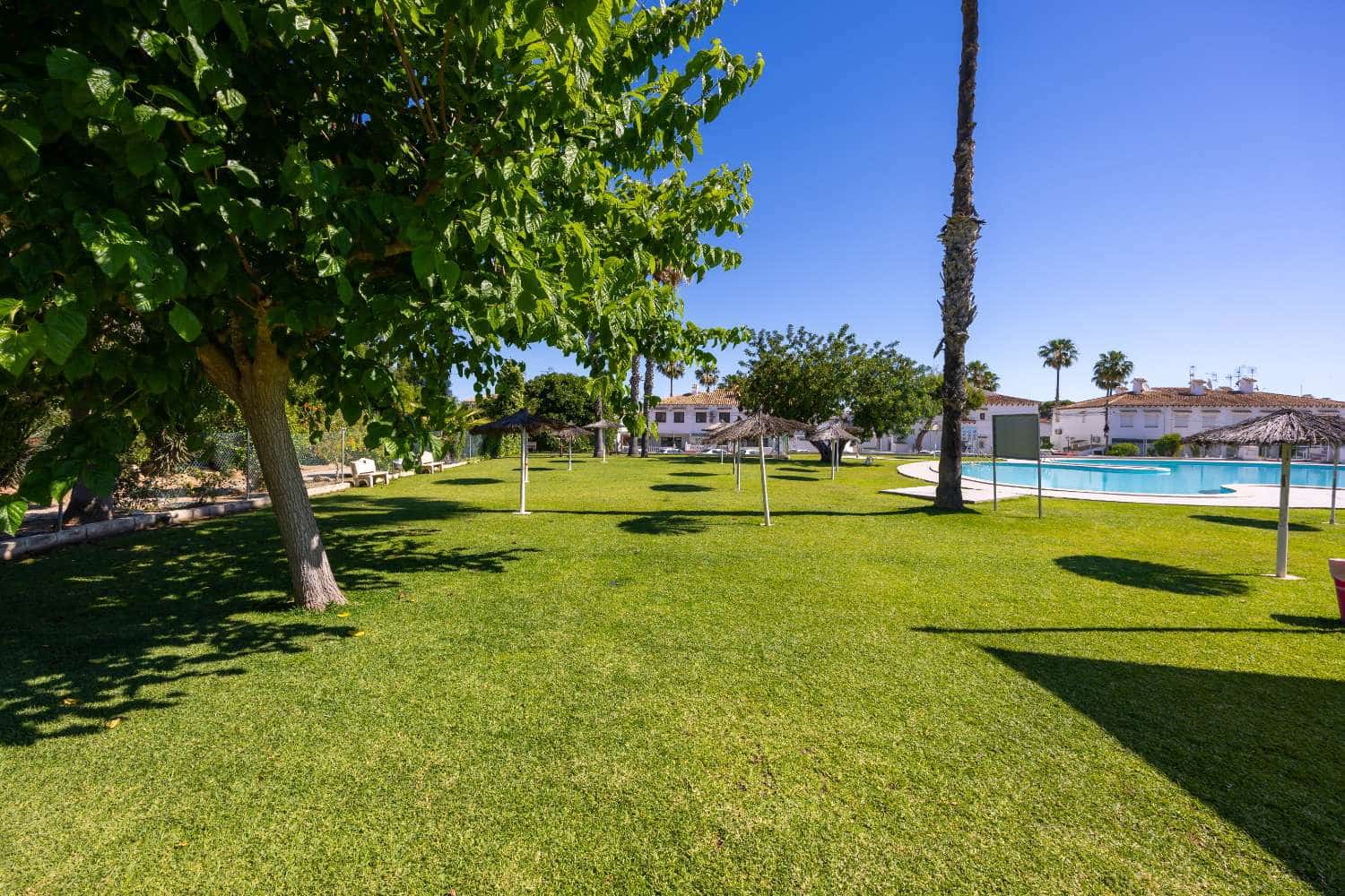 1 sovrum Lägenhet för semesterbostäder i Torrevieja med pool garage - 693 € (Ref: 9866672)
