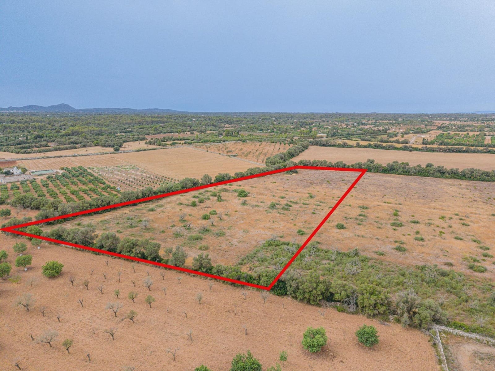 Terre non Aménagée à vendre à Sencelles - 190 000 € (Ref: 10037500)