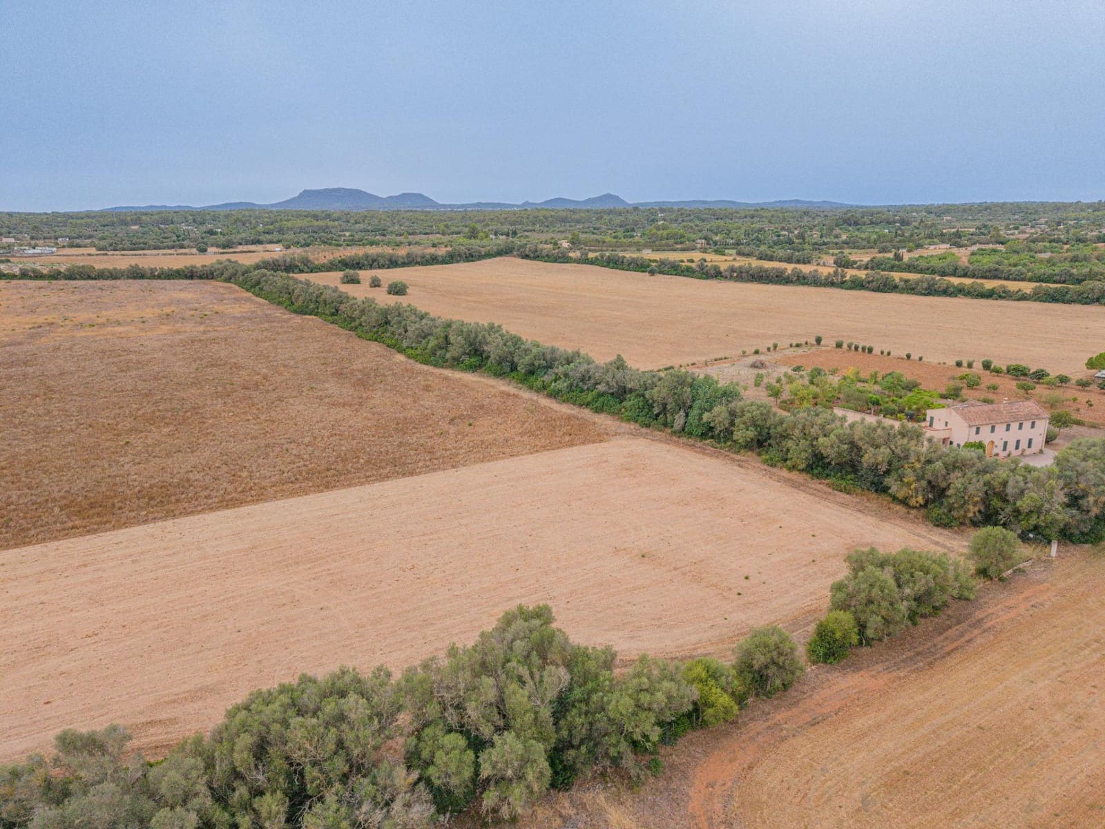 Terre non Aménagée à vendre à Sencelles - 190 000 € (Ref: 10037500)