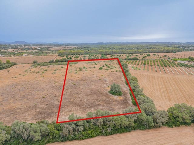 Teren niezagospodarowany na sprzedaż w Sencelles - 190 000 € (Ref: 10037500)