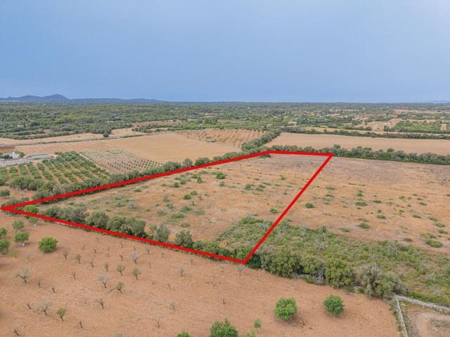 Teren niezagospodarowany na sprzedaż w Sencelles - 190 000 € (Ref: 10037500)