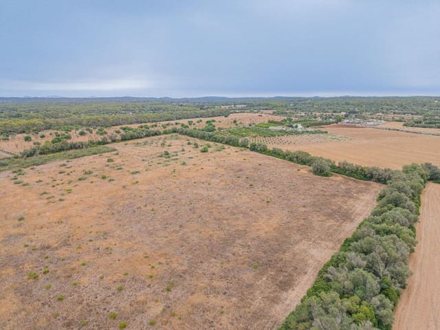 Teren niezagospodarowany na sprzedaż w Sencelles - 190 000 € (Ref: 10037500)