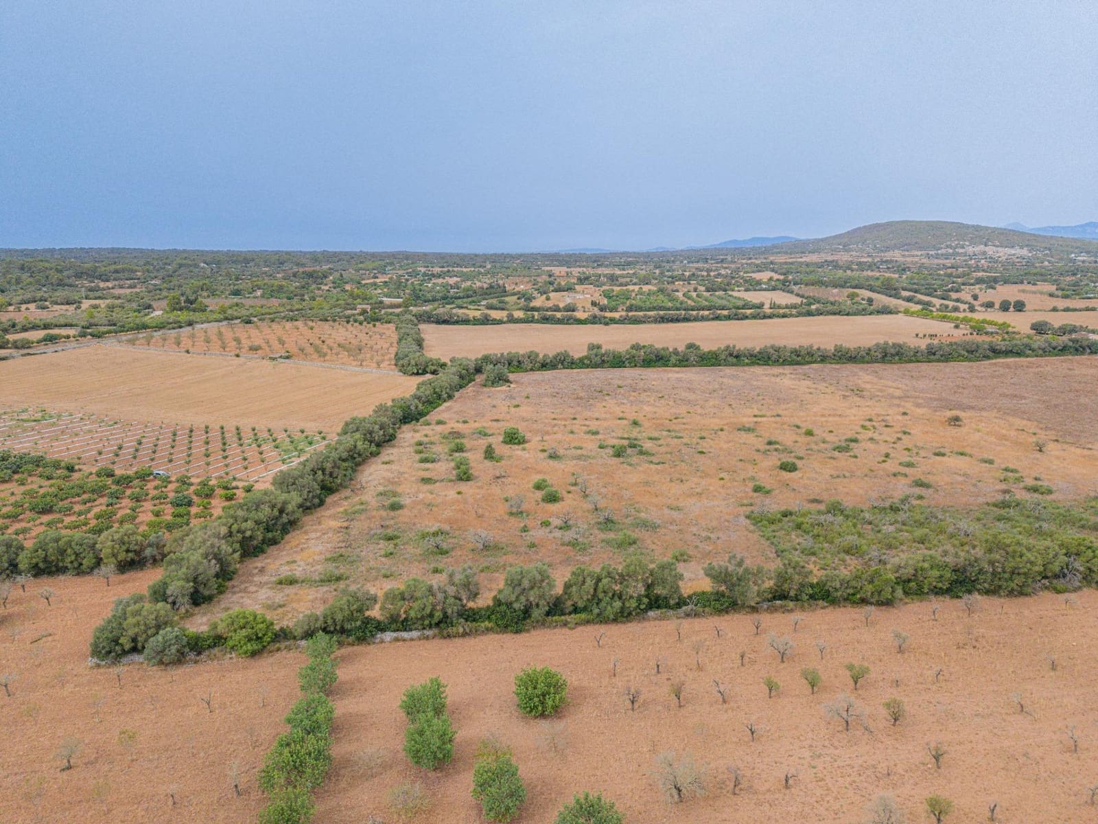 Terre non Aménagée à vendre à Sencelles - 190 000 € (Ref: 10037500)