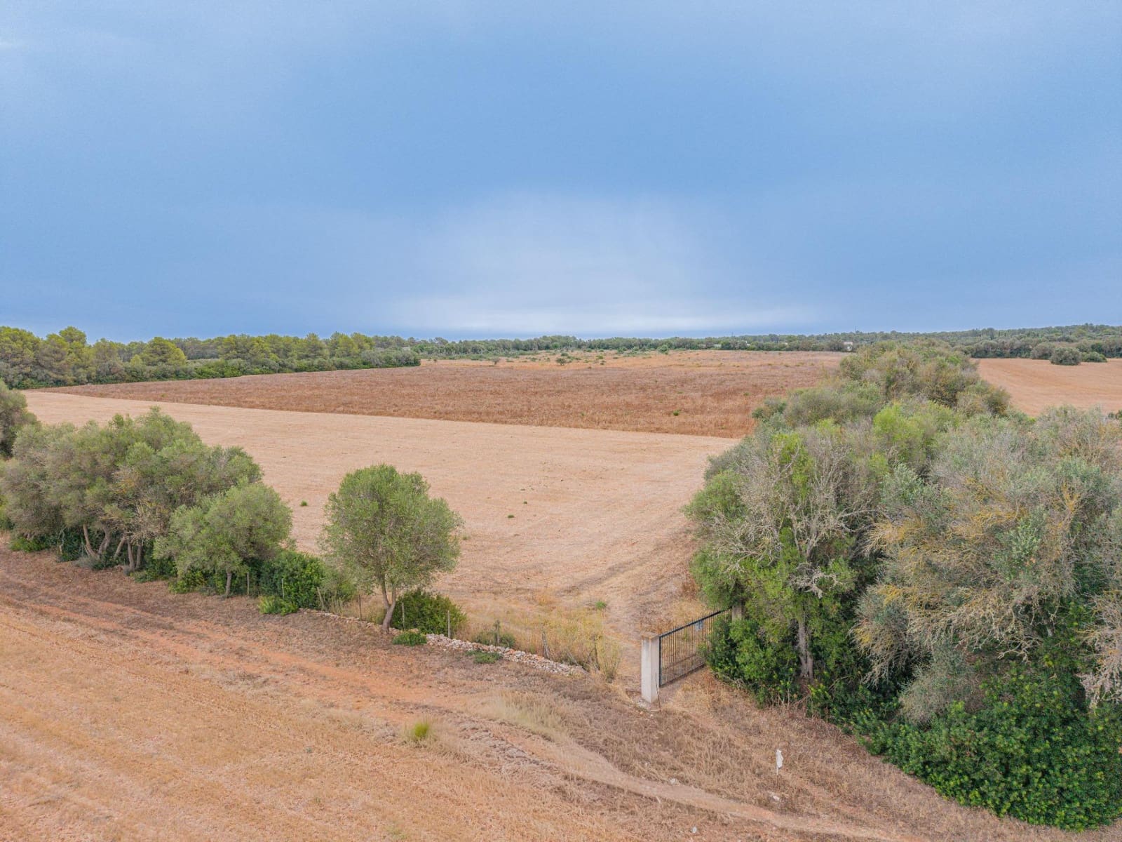 Terre non Aménagée à vendre à Sencelles - 190 000 € (Ref: 10037500)