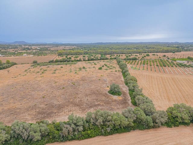 Teren niezagospodarowany na sprzedaż w Sencelles - 190 000 € (Ref: 10037500)