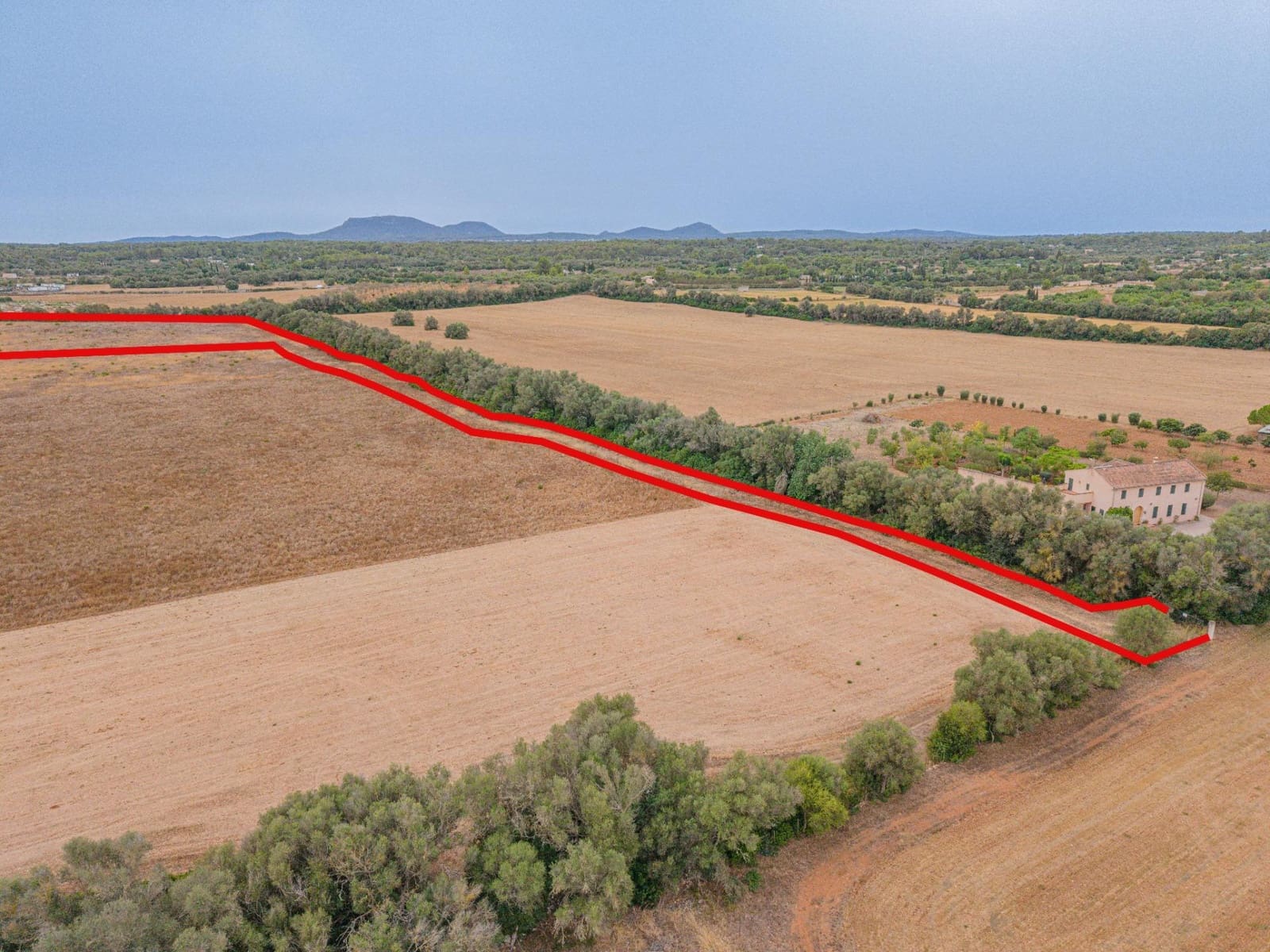 Terre non Aménagée à vendre à Sencelles - 190 000 € (Ref: 10037500)