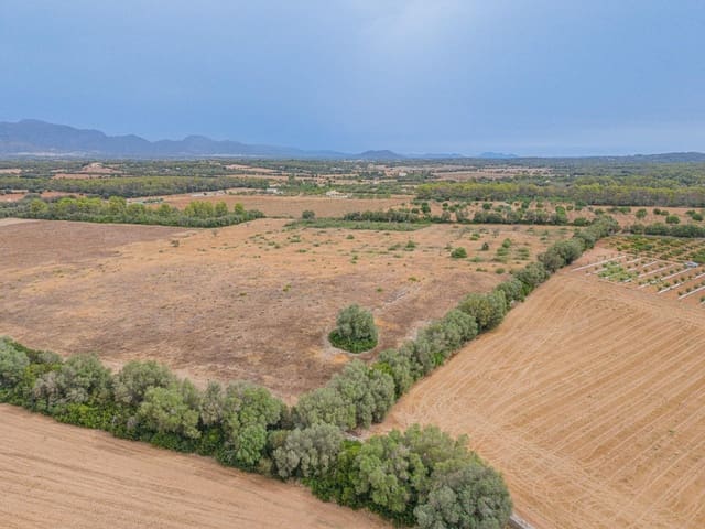 Teren niezagospodarowany na sprzedaż w Sencelles - 190 000 € (Ref: 10037500)