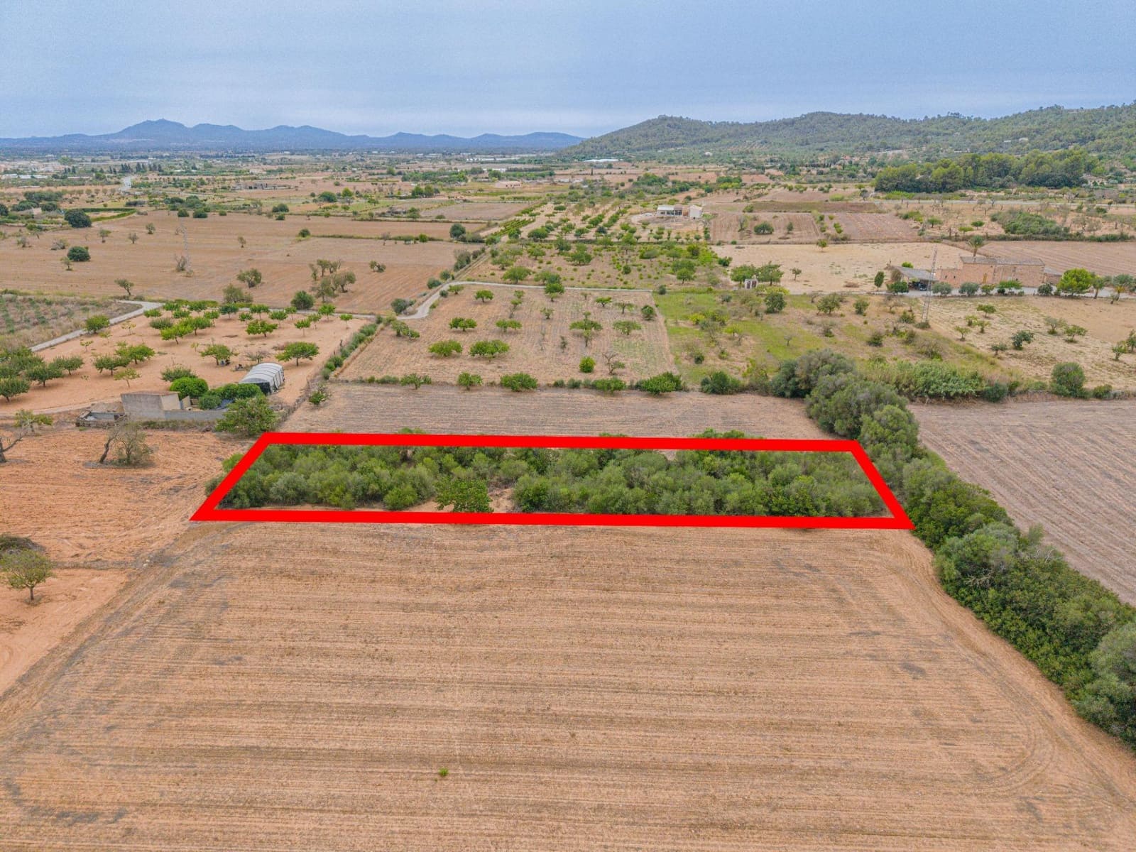 Landgrundstück zu verkaufen in Porreres - 12.000 € (Ref: 10044885)
