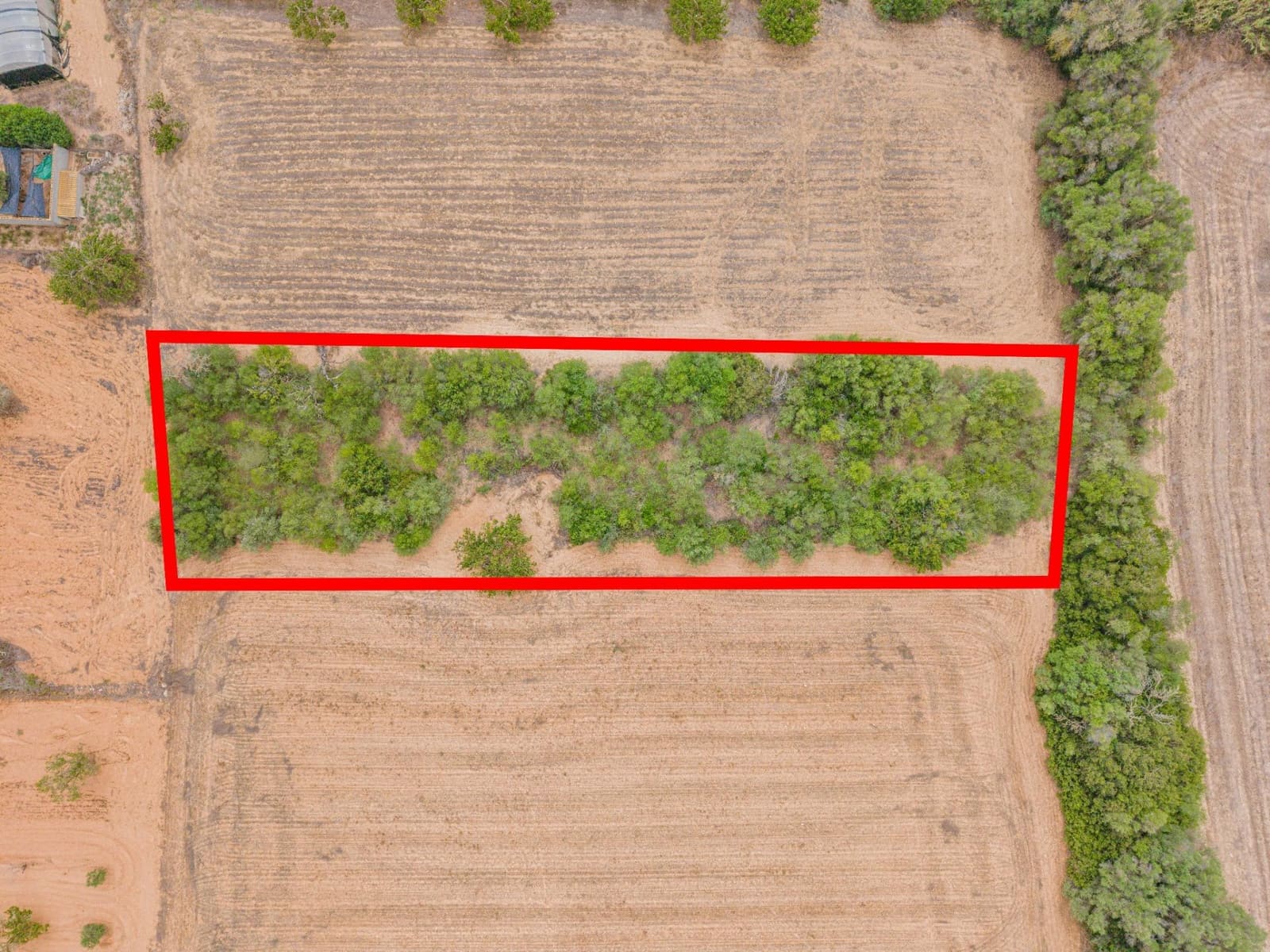 Landgrundstück zu verkaufen in Porreres - 12.000 € (Ref: 10044885)