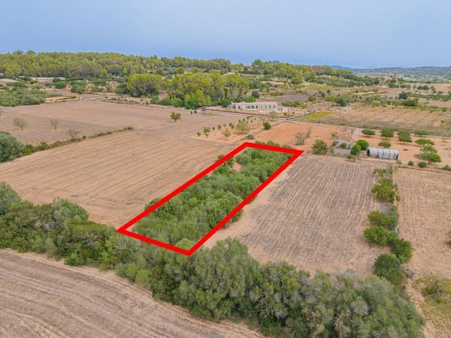 Ubebygd land til salgs i Porreres - € 12 000 (Ref: 10044885)